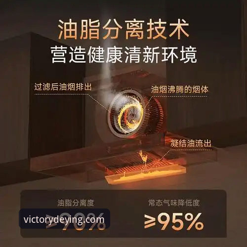 德赢体育安卓版 德赢体育安卓版深度评测:安全性能与用户体验全面解析